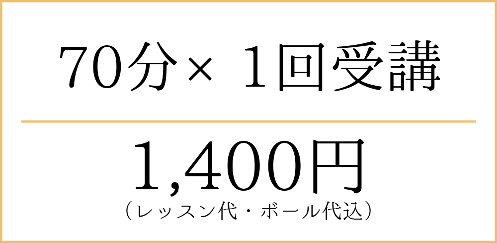 70分×2会受講 2,400円（レッスン代・ボール代）